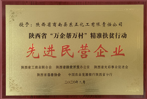 先进民营企业